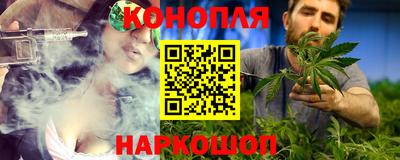 прущие грибы Будённовск