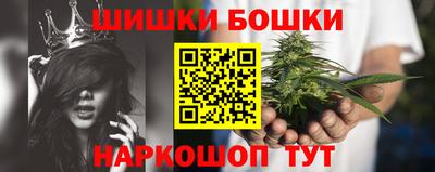 прущие грибы Будённовск
