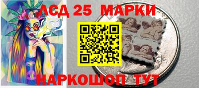 прущие грибы Будённовск