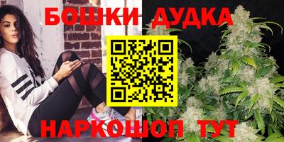 прущие грибы Будённовск