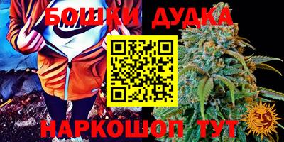 прущие грибы Будённовск