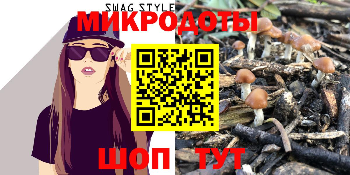 Псилоцибиновые грибы MAGIC MUSHROOMS  Вход с VPN  сколько стоит  Мелеуз 