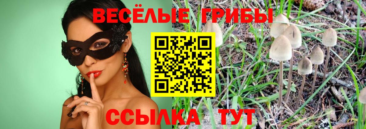 Псилоцибиновые грибы мухоморы Мелеуз